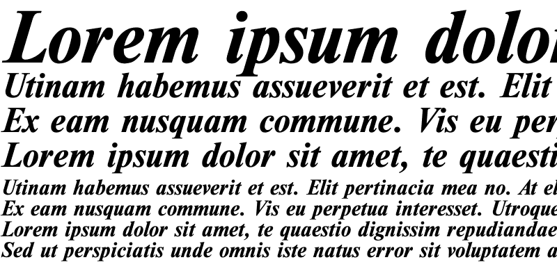 Sample of TimesDL Bold Italic