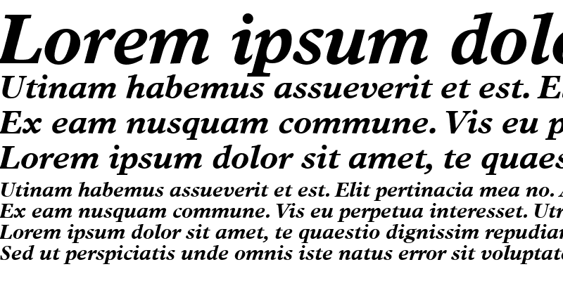 Sample of TimesEuropa LT Roman Bold Italic