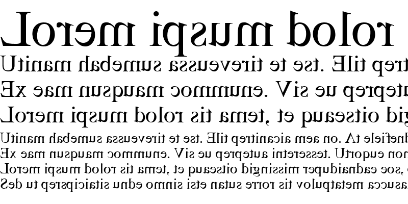 Sample of TimesMirror