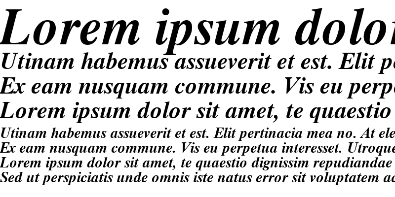 Sample of Timok 02 Bold Italic
