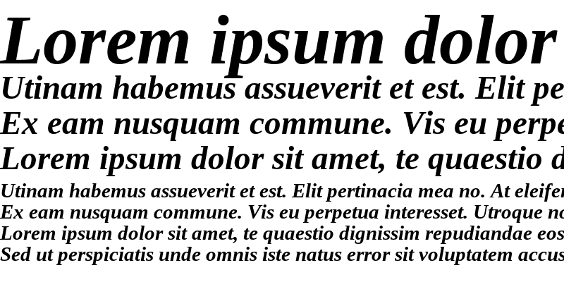 Sample of Tinos Bold Italic