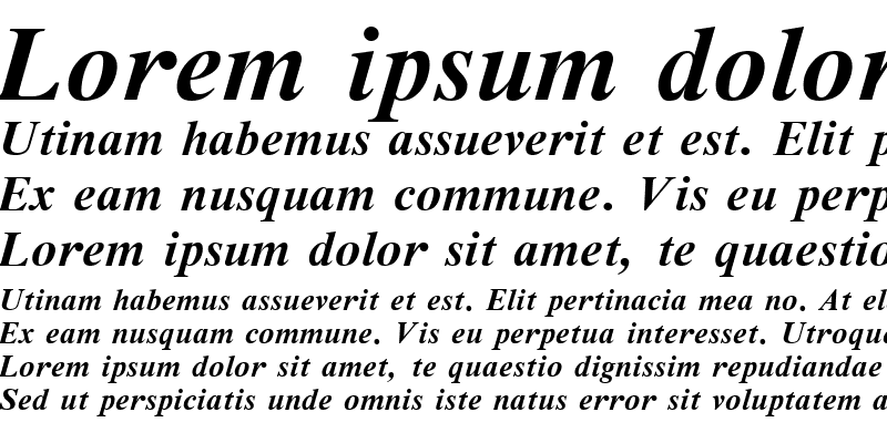 Sample of Tms Bold Italic