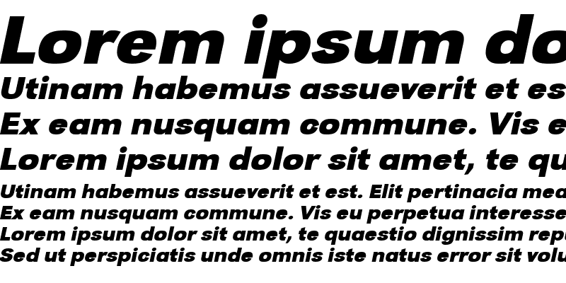 Sample of TomBeckerWide Bold Italic