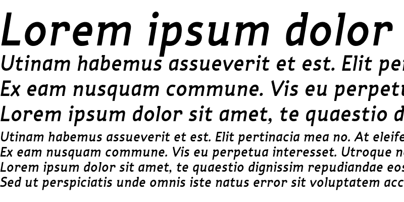 Sample of Torus Demi Italic
