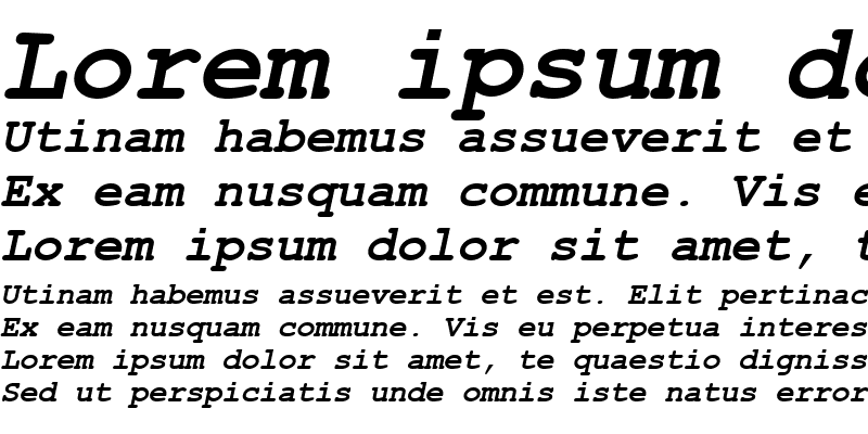 Sample of TR Courier New Bold Italic
