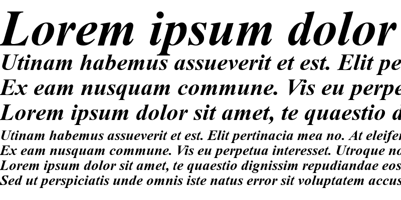 Sample of TR Times New Roman Bold Italic