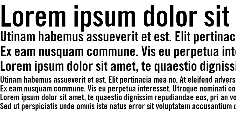 Sample of TraditionellSans Bold