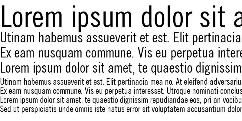 Sample of TraditionellSans