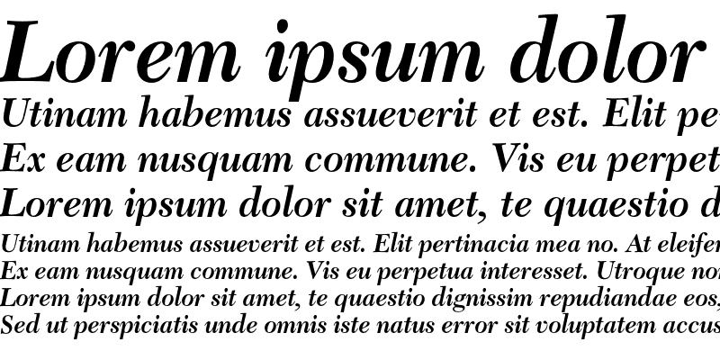 Sample of Transitional 511 Bold Italic