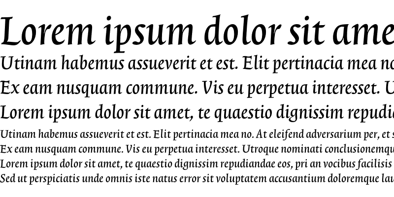 Sample of TriniteNo1 Medium Italic