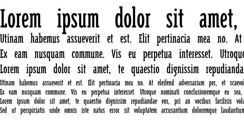 Sample of Triplex Cond Serif
