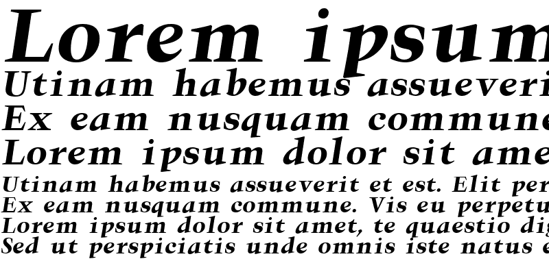 Sample of Triumph Bold Italic