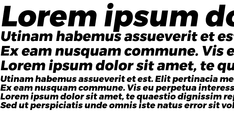 Sample of Trueno ExtraBold Italic