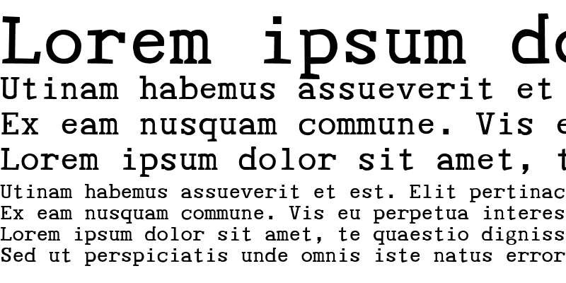 Sample of Tye Paloon Regular