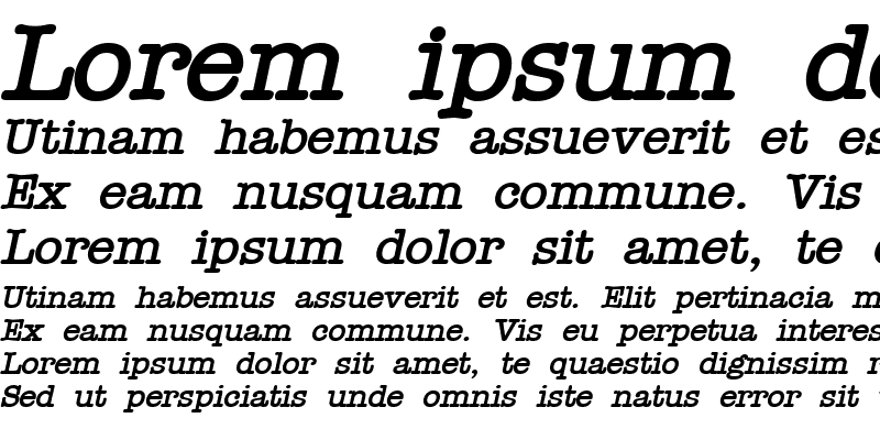 Sample of Typist Bold Italic