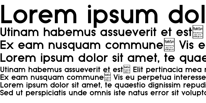 Sample of Typo Grotesk Bold