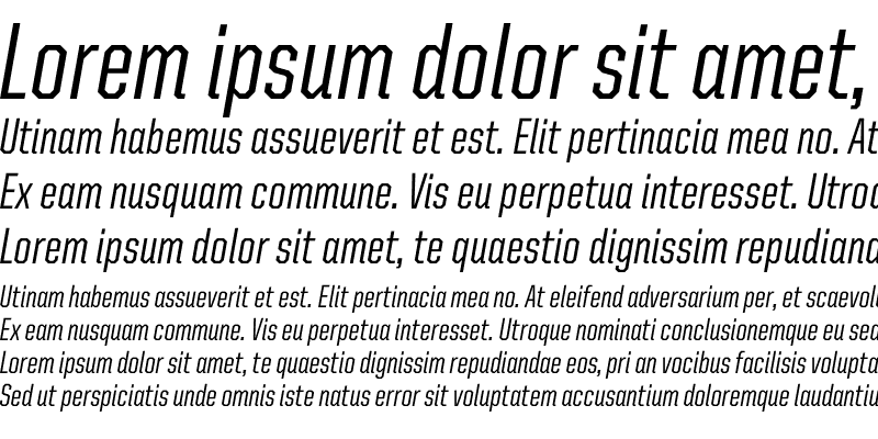 Sample of United Italic Cond Medium