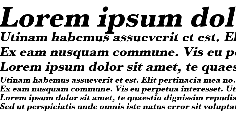 Sample of URWBaskerTExtBol Oblique