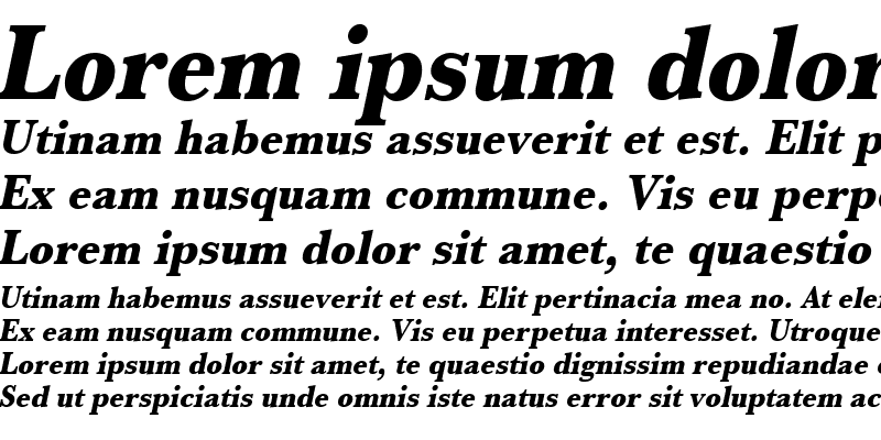 Sample of URWBaskerTExtBolExtNar Oblique