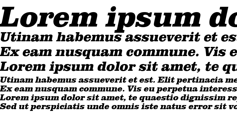 Sample of URWClarendonTExtBol Oblique