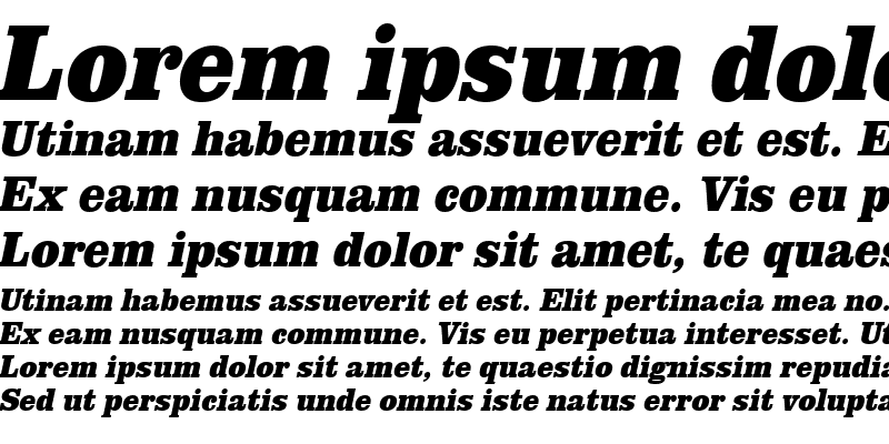 Sample of URWClarendonTExtBolExtNar Oblique