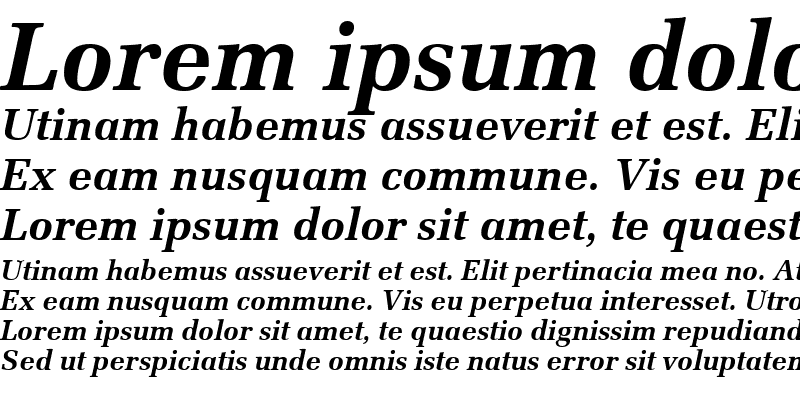 Sample of URWLatinoTEE Bold Italic