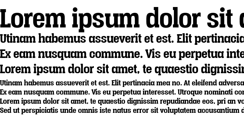Sample of Vacer Serif Personal Bold