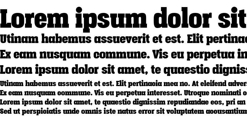 Sample of Vacer Serif Personal Fat