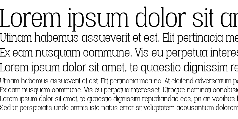 Sample of Vacer Serif Personal Light