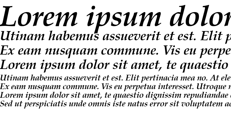 Sample of VANIEL Bold Italic