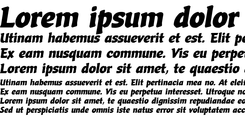 Sample of Vario Com Italic