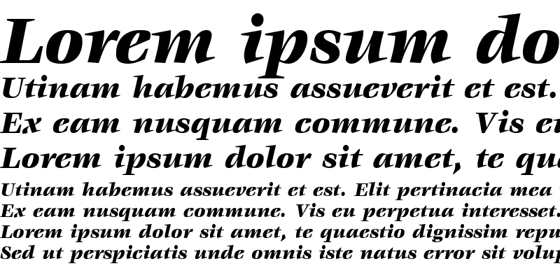 Sample of Veljovic LT Black Italic