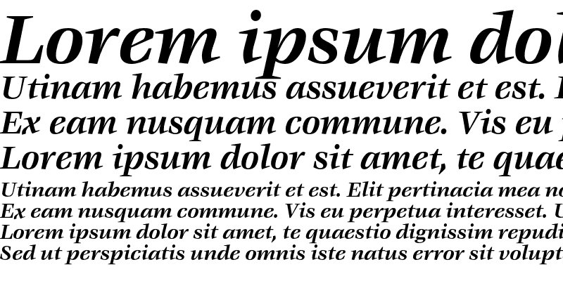 Sample of VeljovicEF Bold Italic