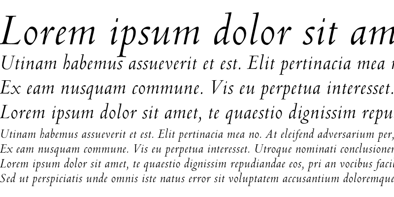 Sample of Venetian 301 Italic