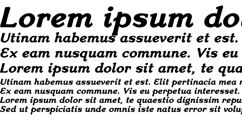 Sample of VenisExtra Bold Italic