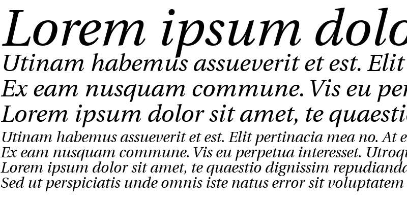 Sample of Veracity SSi Italic