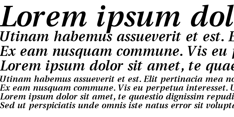 Sample of VeracitySSK Bold Italic