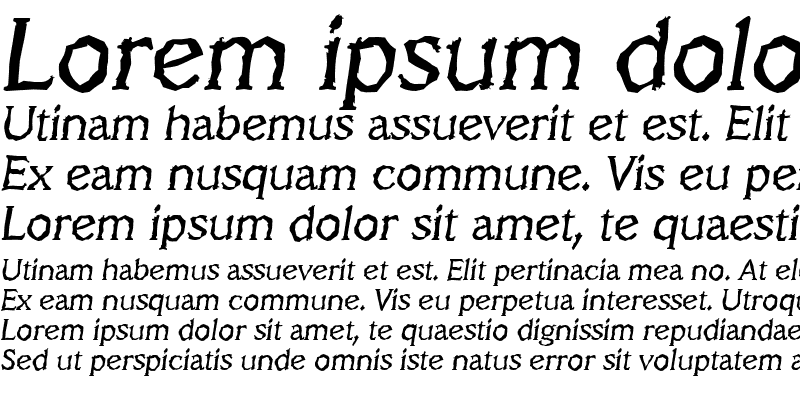Sample of VeracruzRandom Italic