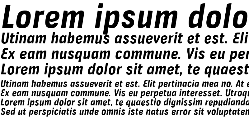 Sample of Veriox Bold Italic