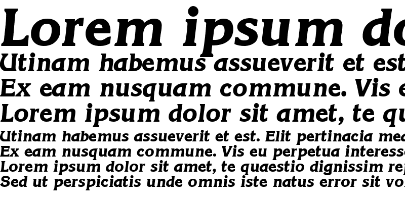 Sample of ViticaDisplaySSK Italic