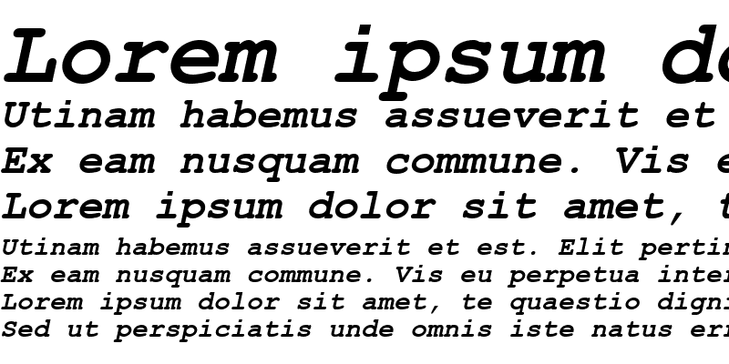 Sample of .VnCourier New Bold Italic