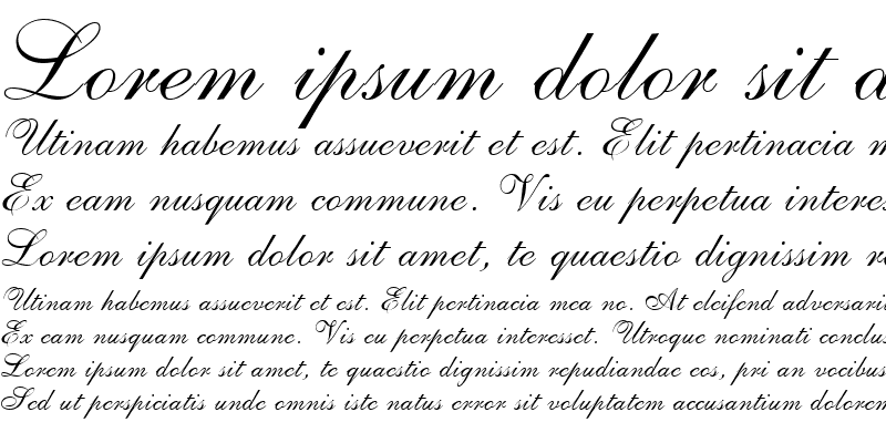 Sample of VNI-Allegie