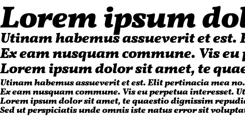 Sample of Vollkorn Bold Italic