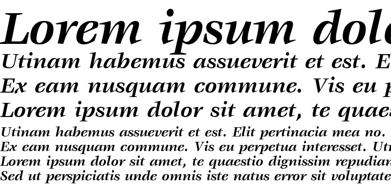 Sample of Vorace SSi Bold Italic