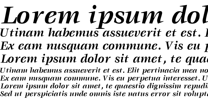 Sample of VoraceSSK Bold Italic