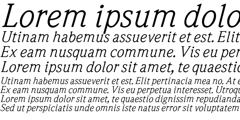 Sample of Weidemann Book Italic