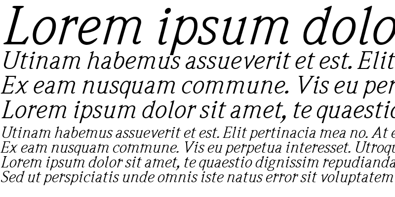 Sample of Weidemann Italic
