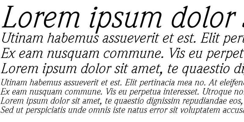 Sample of Weidemann LT Book Italic