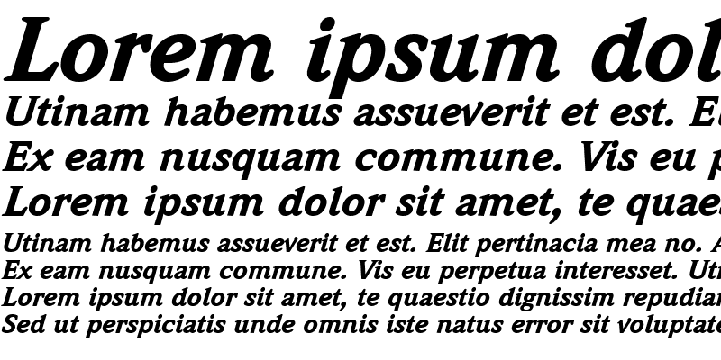 Sample of Weidemann LT Medium Bold Italic