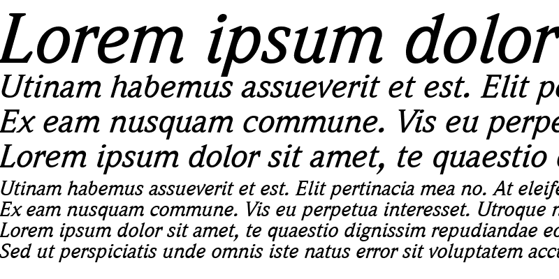 Sample of Weidemann LT Medium Italic
